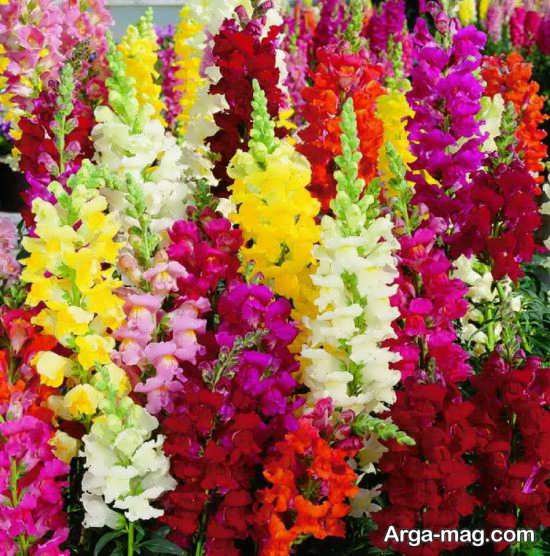 دانلود آهنگ بد بودنو بلدی خودتم دادی یادم منم بد شدم دیگه نمیام نمیام پویان جی سی